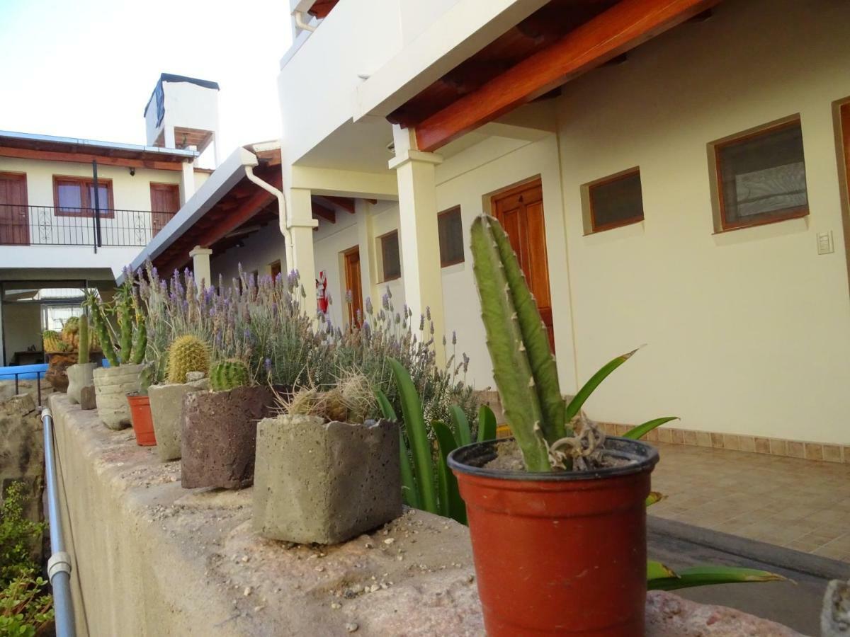 Casa Cactus Cafayate Hotel Exterior foto